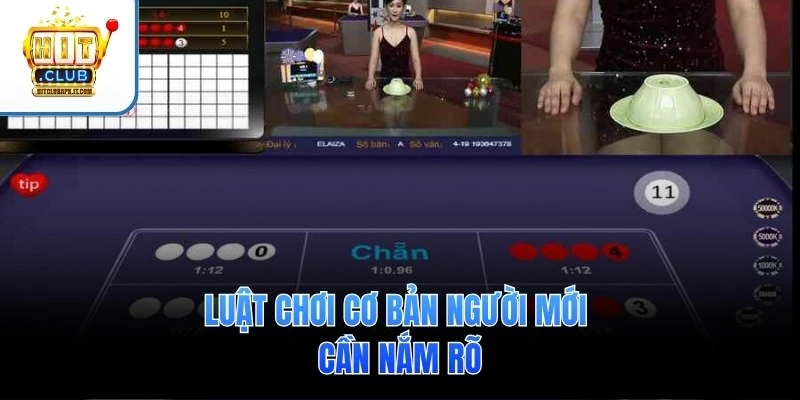 Xóc Đĩa Online Hit Club 2 Luật chơi cơ bản người mới cần nắm rõ